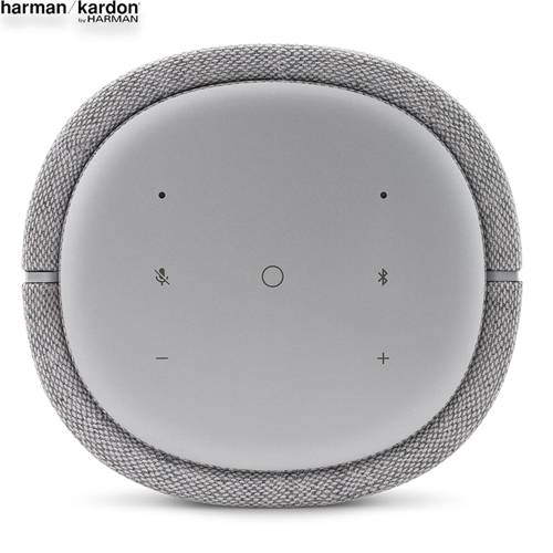 Loa Harman Kardon Citation 100 13